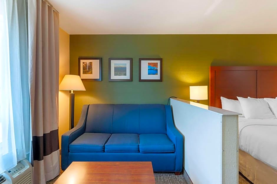 Comfort Inn & Suites Salem