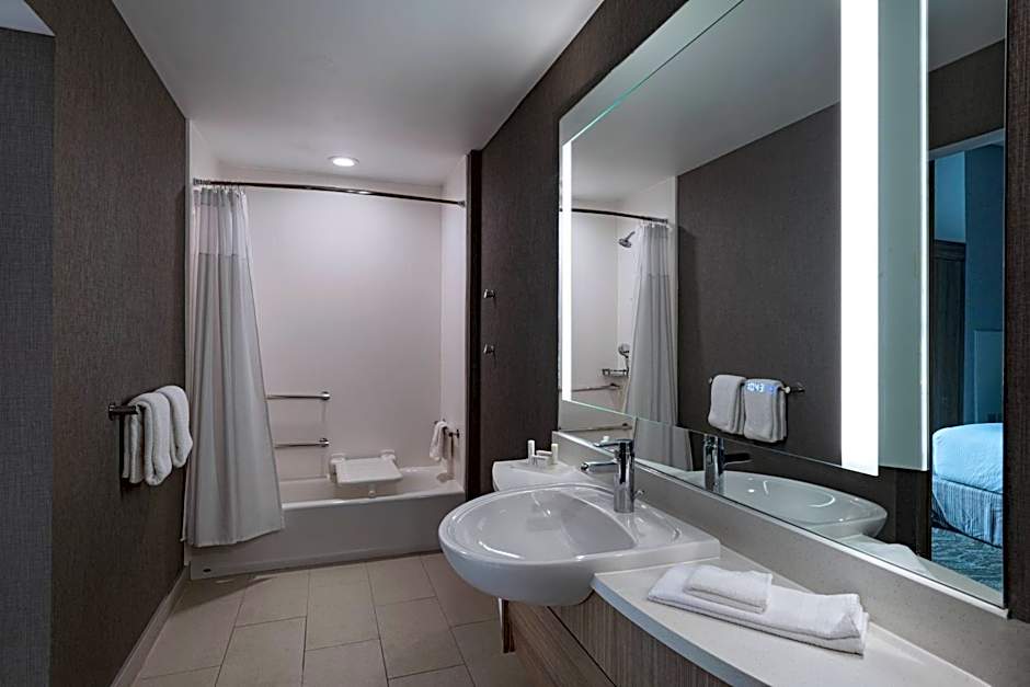 SpringHill Suites by Marriott Waco