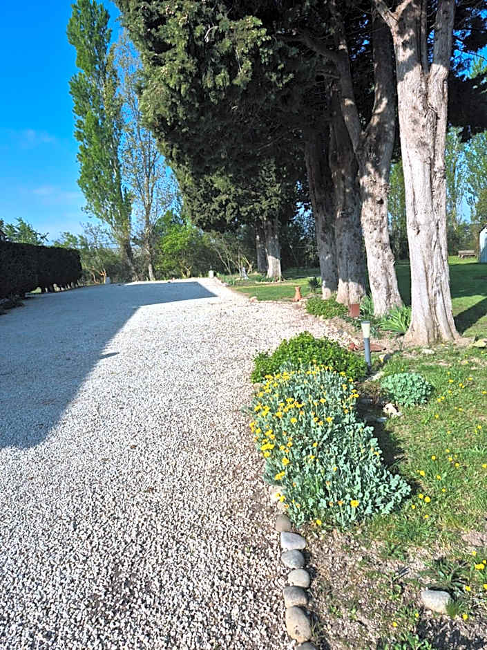 Mas Clement - Chambre et table d'hôtes