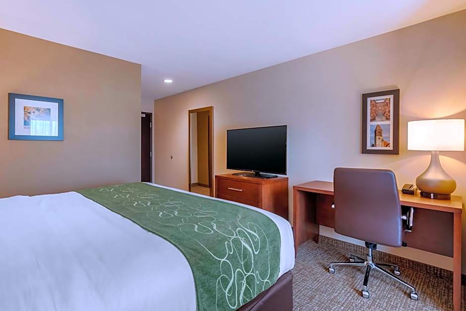 Comfort Inn & Suites Schenectady - Scotia