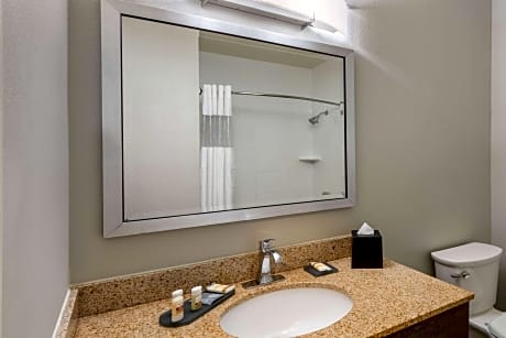 1 King Bed Deluxe Executive Suite Non-Smoking