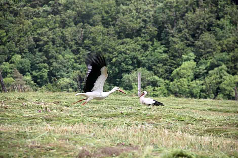 La Colline Du Baa - Maison d'hôtes d'exception