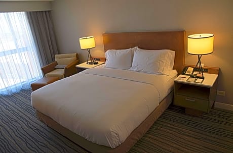 1 King Bed Mobility/Hearing Accessible Tub