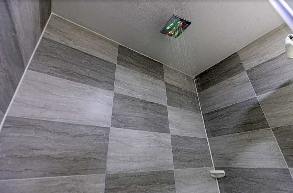 The Leo Collection Detroit, an Ascend Collection Hotel