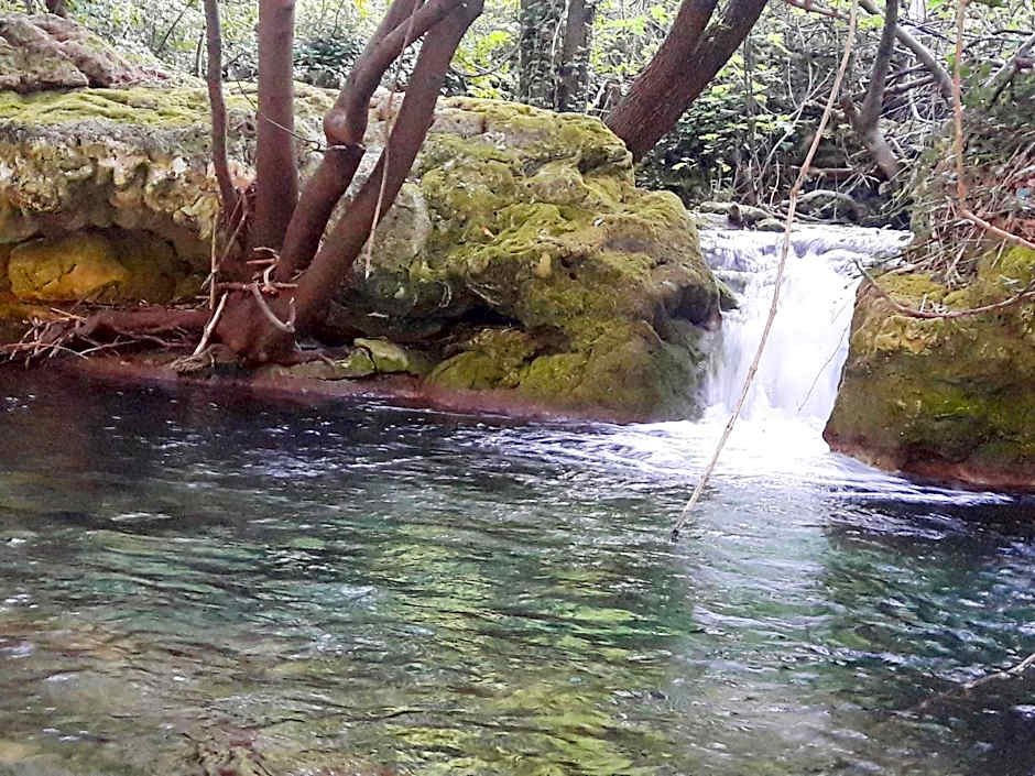 Holidays In Provence Alpes Maritimes