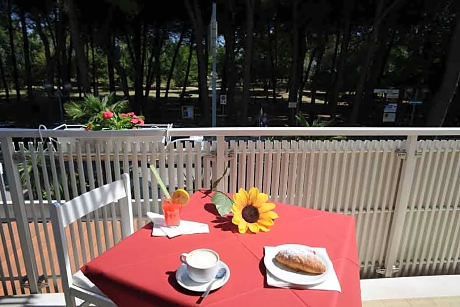 Hotel San Domenico Pinarella