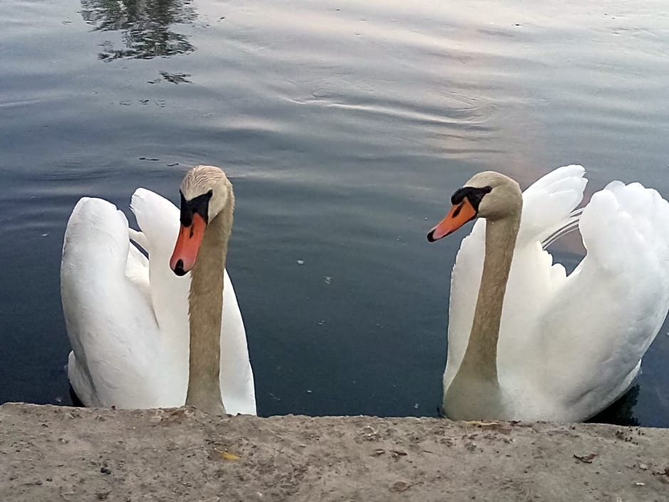 LES TONNEAUX DE L'EURE LOGEMENT INSOLITE