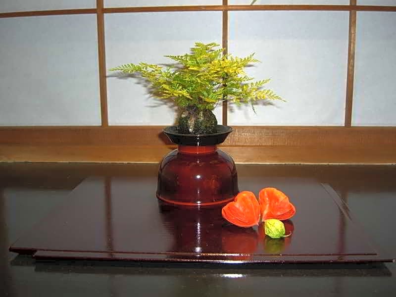 Hotel Kaminarimon