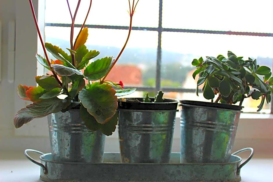 O Refuxio de la Jerezana