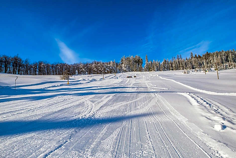 Horský hotel Kozubová