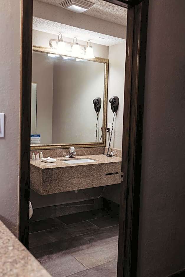 AmericInn by Wyndham Appleton Downtown