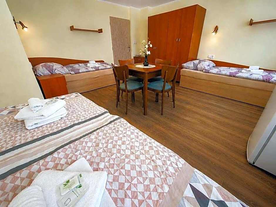 Hotel Alster