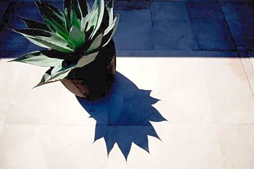 Maison d’hôtes Les Ajoncs