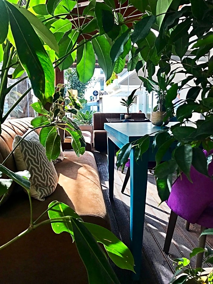 Maison 66 Riviera Hotels