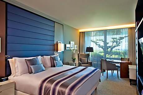 Cozy Room