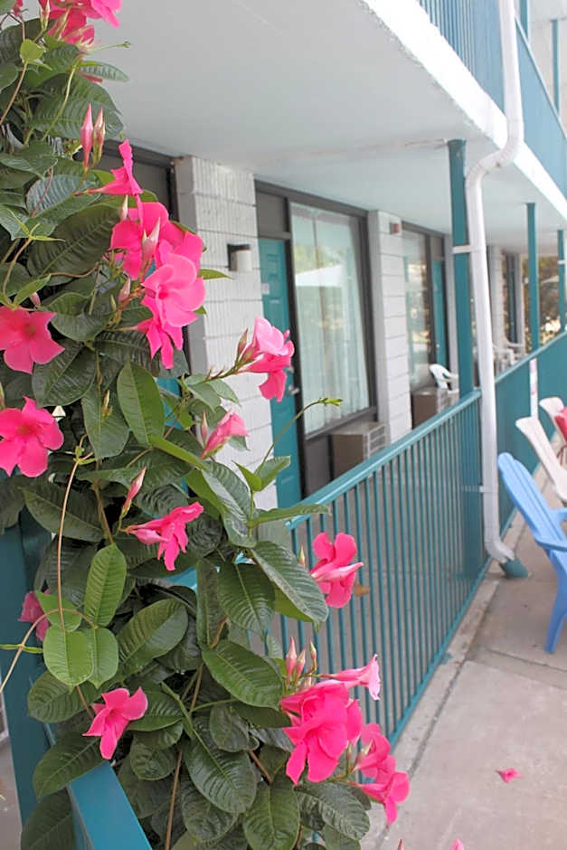 Ozark Valley Inn