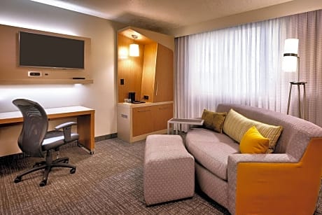 Suite, 1 Bedroom (1 King Bed and 1 Double Sofa Bed)