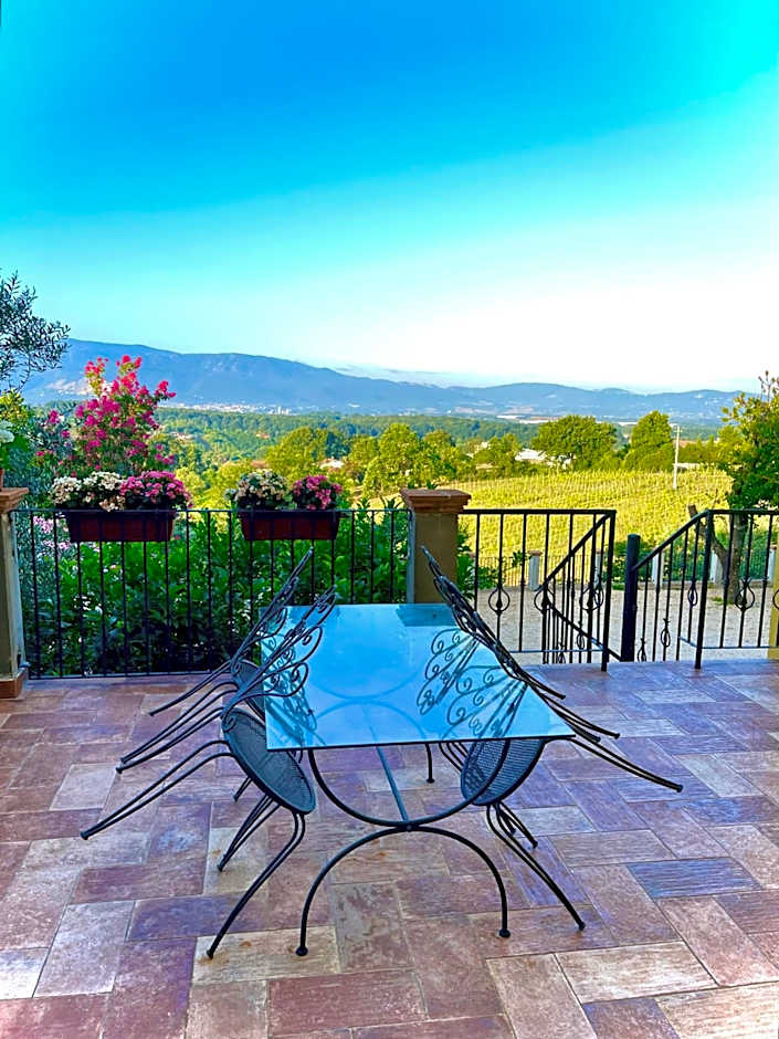 Donna Vittori - Borgo Agricolo