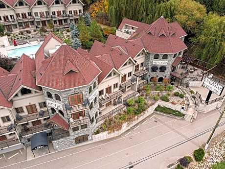 The Castle at Swan Lake