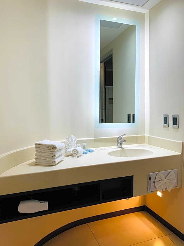 Holiday Inn Express Mexico Basilica By IHG