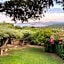 Domus Olivarum - Costa Smeralda 6 guest, 3 room, 2 bathroom, 2 parking Wifi