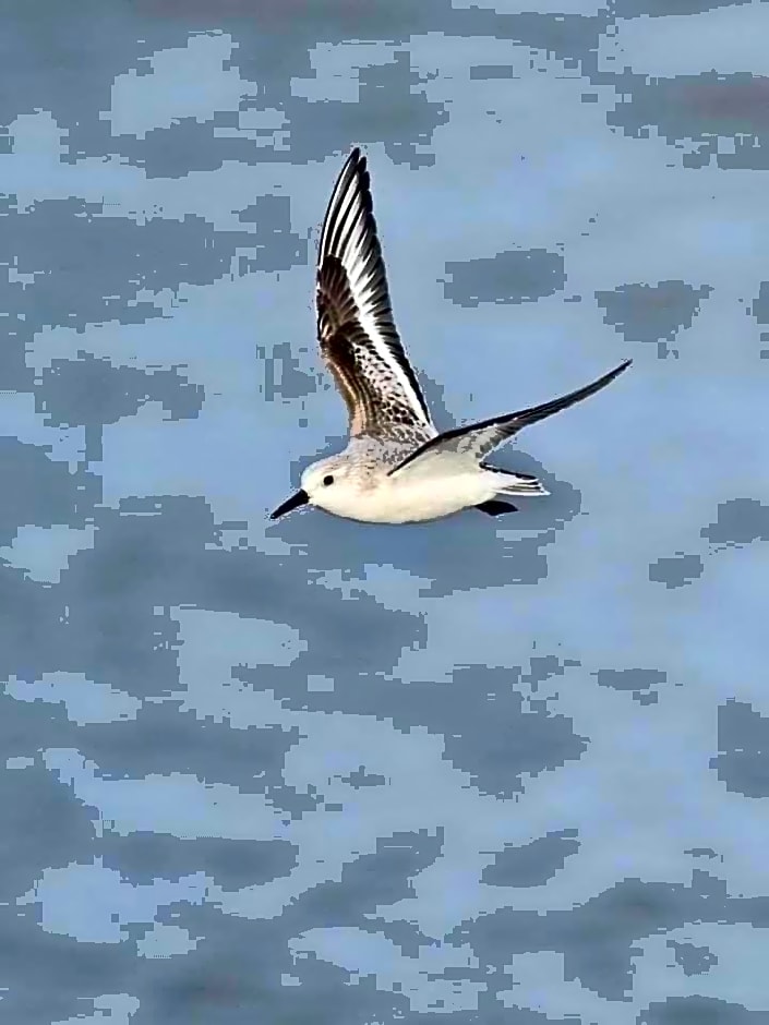 VILLA CATHY Chambres d hôtes