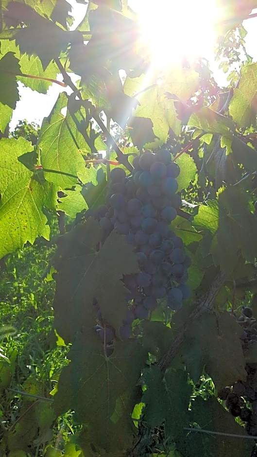 Agriturismo Le Giarine