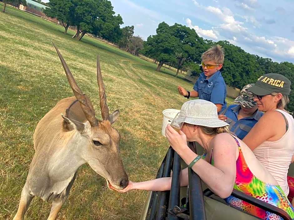 Kigeni Safari Lodge & Spa