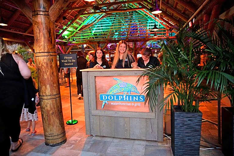 Dolphins Vacation Rental