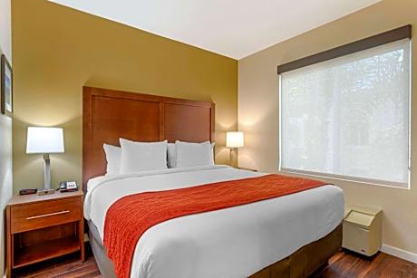 Accessible Suite, 1 King Bed with Sofa Bed, Hearing Accessible, Non Smoking