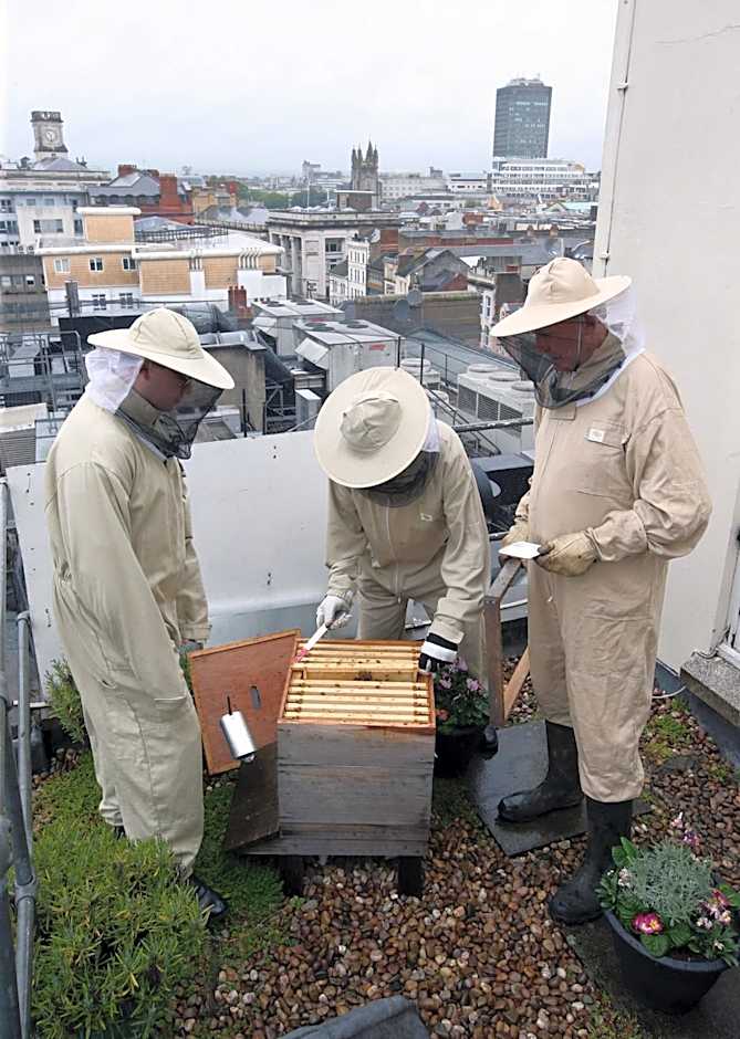 The Royal Hotel Cardiff