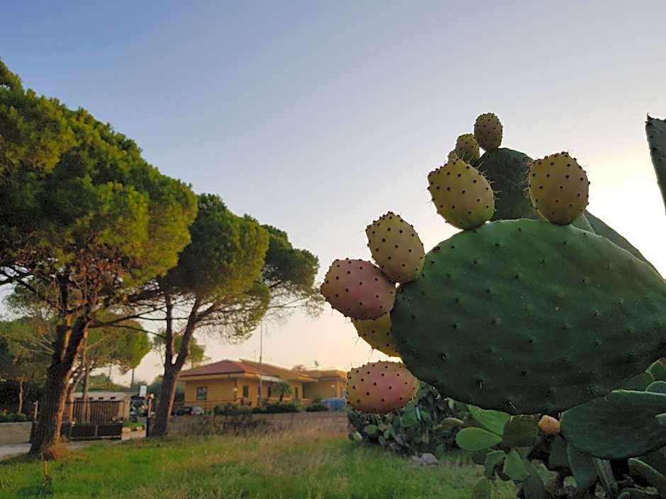 Turtle Island Apartments