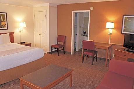 1 King Bed Deluxe Room Non-Smoking