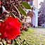 Villa La Dogana - B&B with a lovely garden - Private parking - Slow living in an old-fashioned historical home