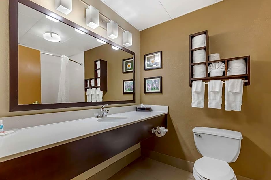 Comfort Suites Regency Park