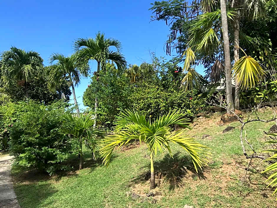 Le Rayon Vert - Hôtel & Restaurant VUE SUR MER