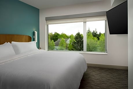 Studio Commons Suite, 1 Bedroom Suite, 1 King, Sofa Bed, Corner Room
