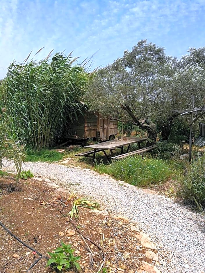 Hemdatya Stone Suites In The Galilee