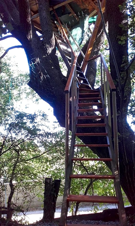 B&B La Cabane Insolite