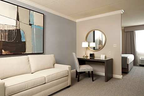 Deluxe King Suite Non-Smoking