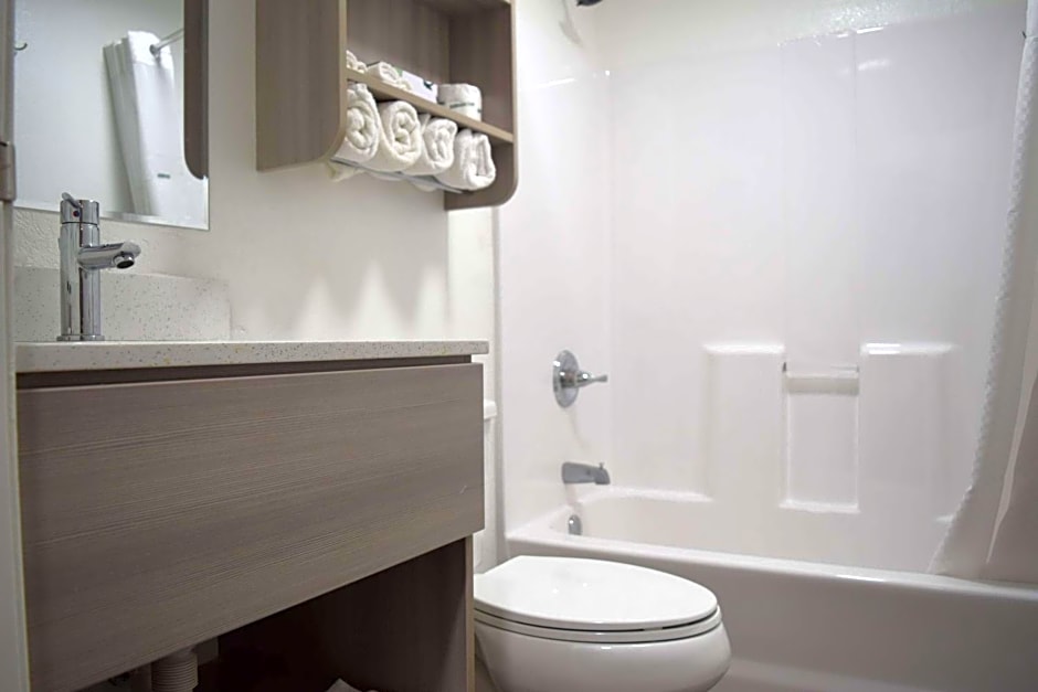 Microtel Inn & Suites by Wyndham Raleigh