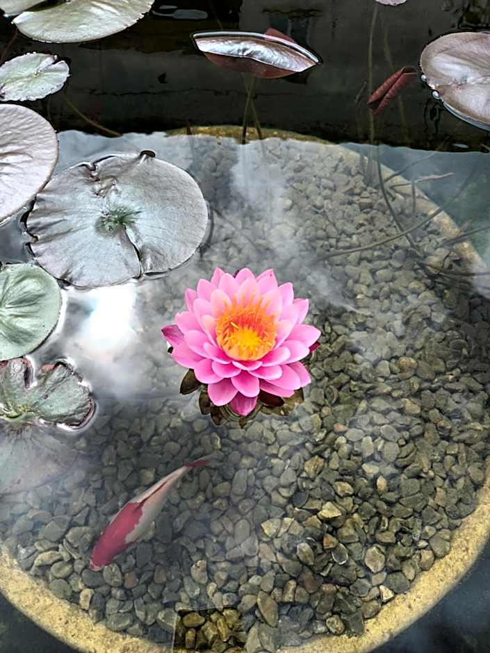 Hôtel Loysel le Gaucher