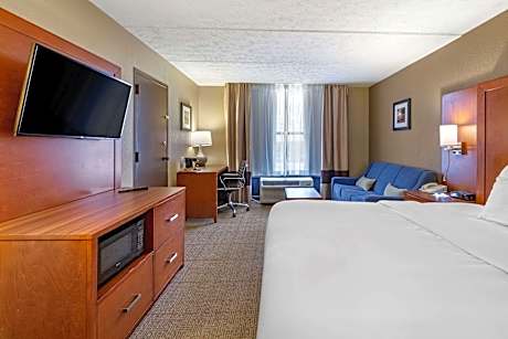 1 King Bed, Nonsmoking