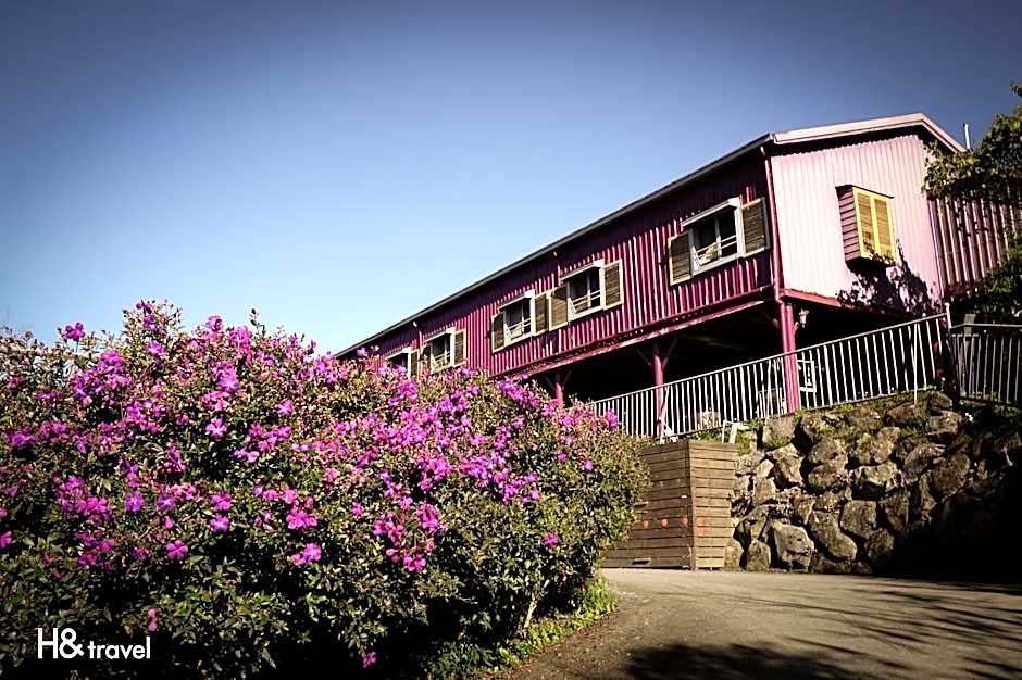 Seeking-Alishan Sunrise