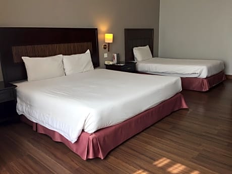 Basic Triple Room