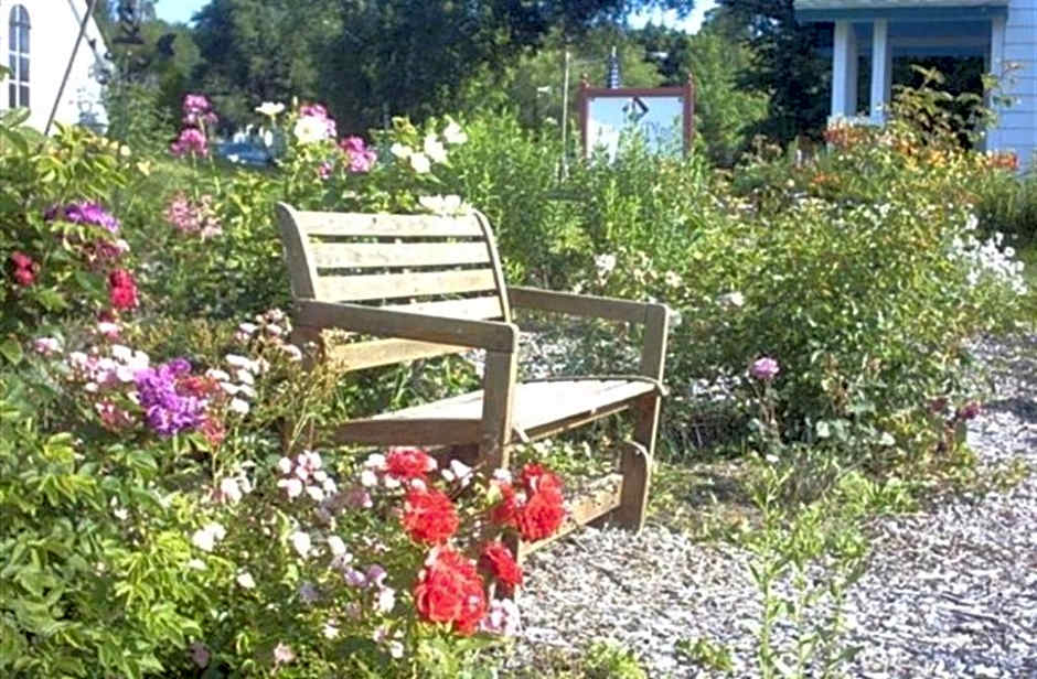 Lucy's Place
