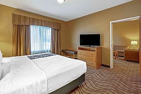 Deluxe One-Bedroom Queen Suite - Non-Smoking