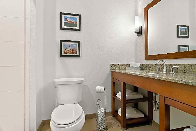 Comfort Suites Rensselaer near Fair Oaks