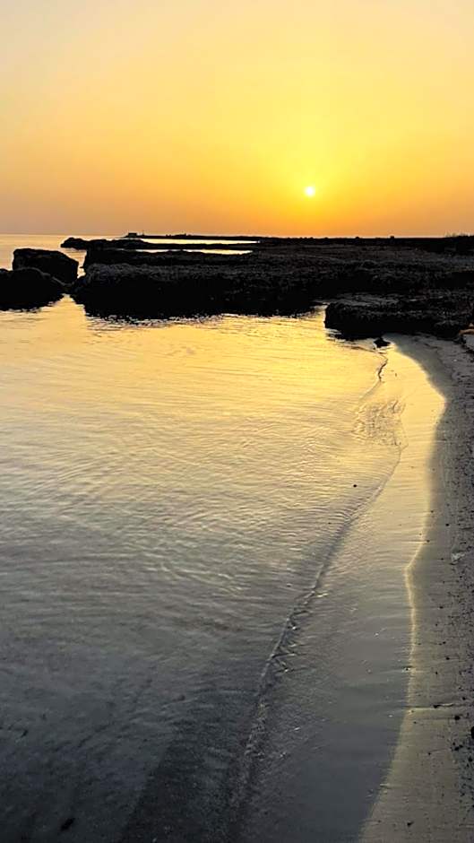 Sun Tower beach apartments