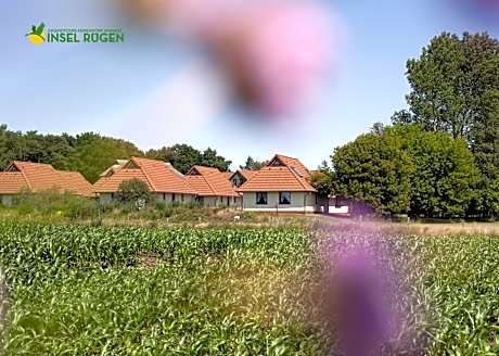 Jugendtours-Feriendorf Ummanz